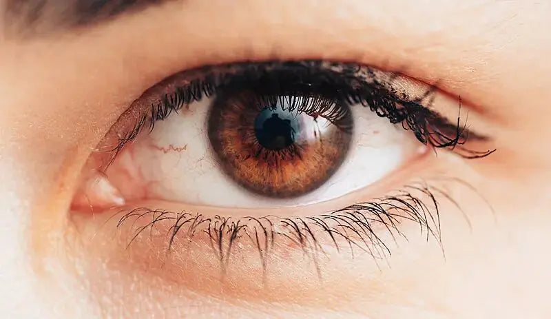 In-Depth Review: Are DIY Lash Extension Kits Really Worth It?