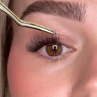 2.Place Lash Clusters