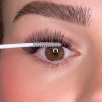 4.Apply Lash Sealer